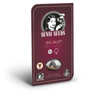 0000618 big bud feminized seeds 800