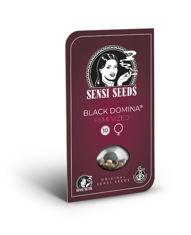 Black Domina Sensi Seeds - Imagen 2