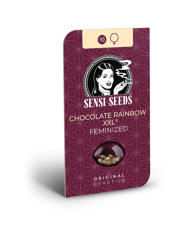 Chocolate Rainbow XXL Sensi Seeds - Imagen 2