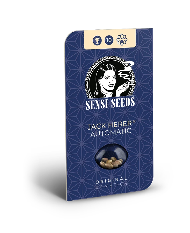 Jack Herer Auto Sensi Seeds - Imagen 2