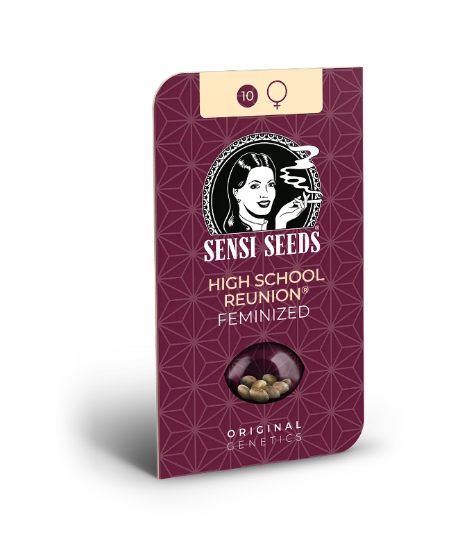 High School Reunion Sensi Seeds - Imagen 2