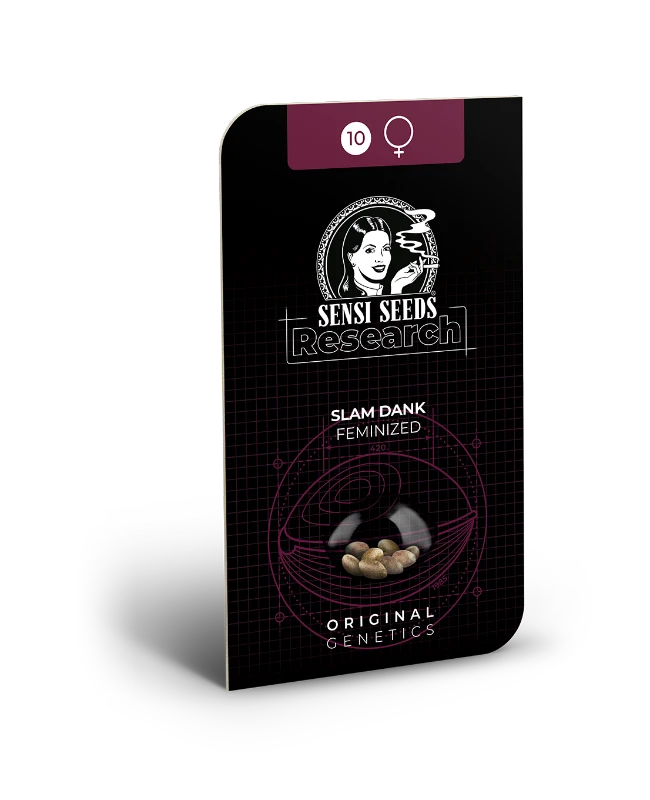 Slam Dank Sensi Seeds - Imagen 2