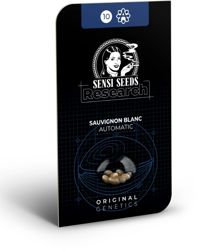 Sauvignon Blanc Auto Sensi Seeds - Imagen 2