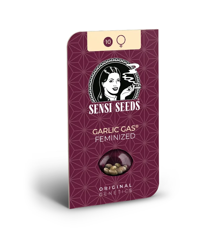 Garlic Gas Sensi Seeds - Imagen 2