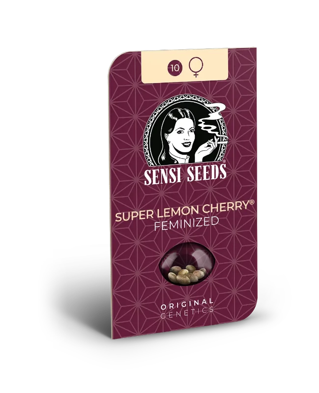 Super Lemon Cherry Sensi Seeds - Imagen 2