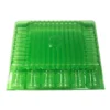 blister transporte esquejes 10 uds