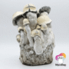 Tidal Wave Ape MycoBag 450g | pan de setas de la risa