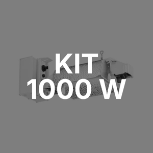 Kit 1000 W sodio