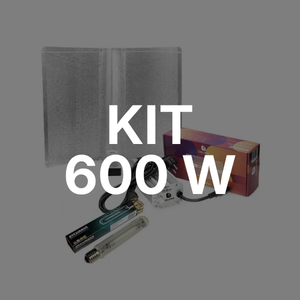 Kit 600 W sodio