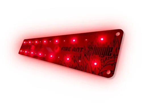 led the fire ant the jungle 500x375 1