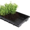 Bandeja profesional Garland 37x23,5 cm Pack 5