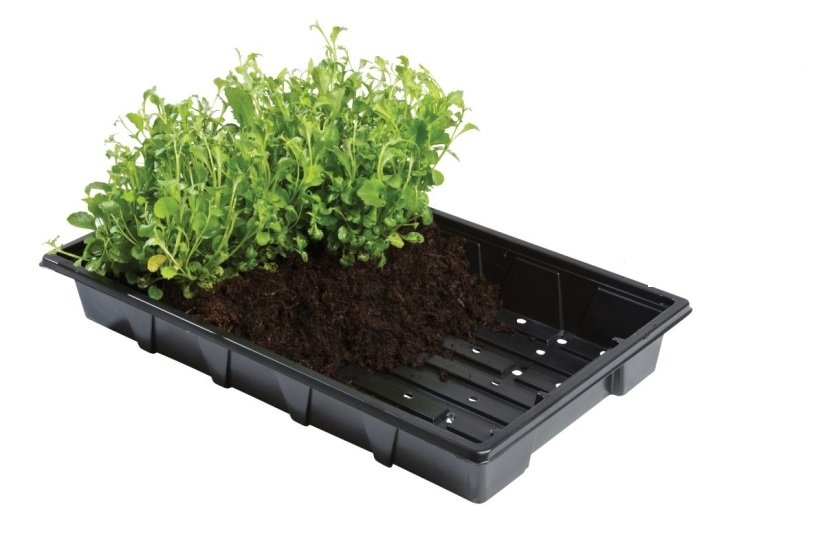Bandeja profesional Garland 37x23,5 cm Pack 5 - Imagen 2