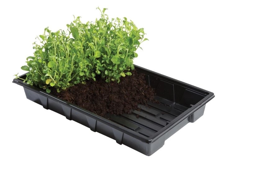 Bandeja profesional Garland 37x23,5 cm Pack 5